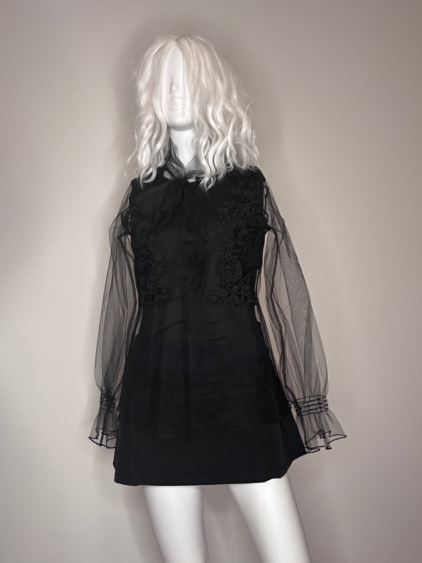 Black Sheer Long Sleeve Blouse, Gorgeous Gothic Style.